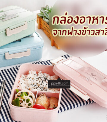 กล่องข้าวฟางข้าวสาลีวัสดุธรรมชาติ#กล่องข้าวฟางข้าวสาลี#กล่องข้าวทำจากวัสดุธรรมชาติ#กล่องข้าวสิ่งแวดล้อม#กล่องข้าววัสดุธรรมชาติ#สินค้ารักษ์โลก#กล่องข้าวรักษ์โลก#